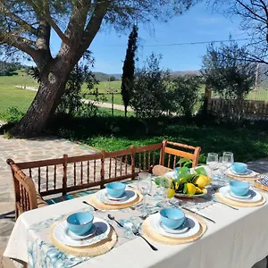 Casa Celia , Miranda del Rey España